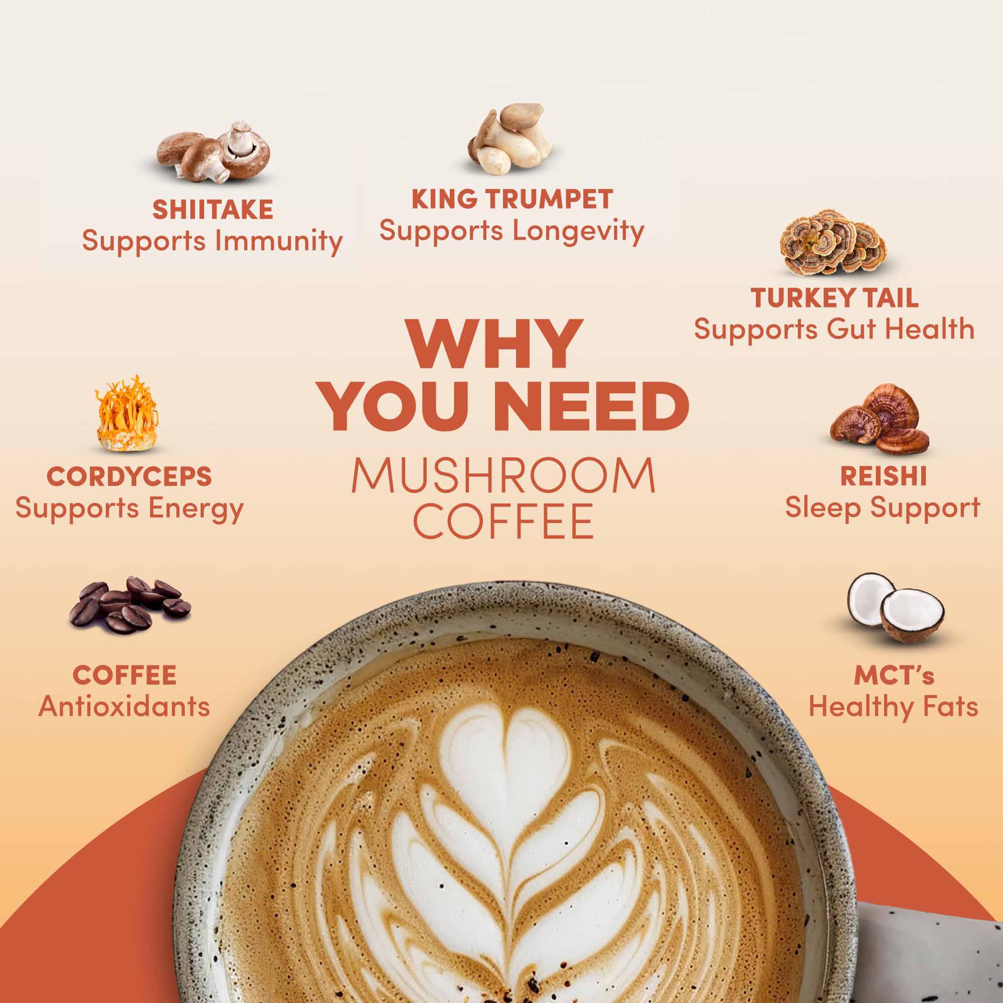 Mushroom Coffee – Smooth Aroma & Earthy Flavour Profile