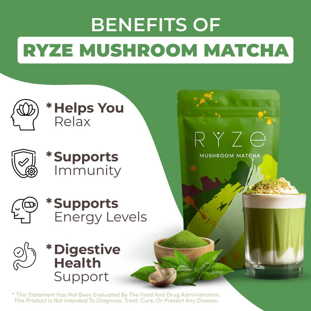 Mushroom Matcha  – Ceremonial-Grade Matcha for Energy, Focus, Digestion