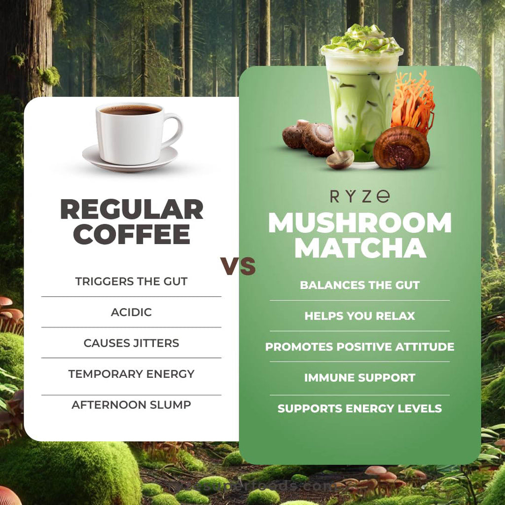 Mushroom Matcha  – Ceremonial-Grade Matcha for Energy, Focus, Digestion